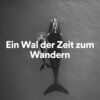 Entspannungsmusik Meer - Wunder des Ozeans