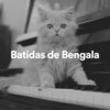 Cat Music - Regal Feline Calming Music for Your Cat, Pt. 36