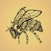 Richard Scholtz、Drahosh - Super Fly (Drahosh Remix)