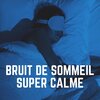 Bruit Blanc Dormir - Bruit Brun Bruit Blanc, Pt. 19