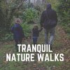 Mother Nature Soundscapes - A Gesture from the Environment