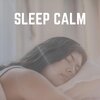 Sleeping Music - Sleep Music for Stress Relief