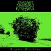 Summer Graves - Lipka Zielona