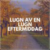 Avslappnande Meditation Akademi - En NY dag