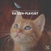 Katzenmusik - Katze mit ungestörtem Schlaf