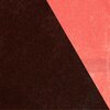 Florian Arbenz、wolfgang puschnig、Jorge Vistel - Wild Flower