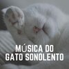 Music For Cats - Soothing Melodies to Calm Your Cat, Pt. 39