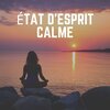 Zen Musique Détente - Relaxation Zen, Pt. 29