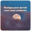 Hang Drum Musique - Réservoir hang tambour