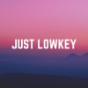 Lofi for Coding - Envirolution