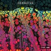 Sissi No、Nicola Gatti - Sol Cole (Pitch-4)
