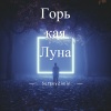 SergeyZimin - Горькая луна
