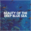 Sea of Waves、Sundays By The Ocean、Ocean Sounds《Amazing Waters》[MP3/LRC]