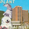 Plant - Mai mult