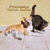 Patrick DeVille - Frienemys