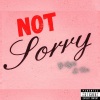 G-Light、D.Von《Not Sorry (feat. D.Von)(Explicit)》[MP3/LRC]