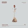 Keezy Rose、Hot Boy Dc - Up (Explicit)