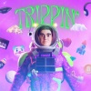 The Purge - TRIPPY SPACE