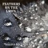 Halava、Edu Kettunen - Feathers on the lawn (feat. Edu Kettunen)