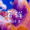 自然白噪音、夏季音乐 - 海洋