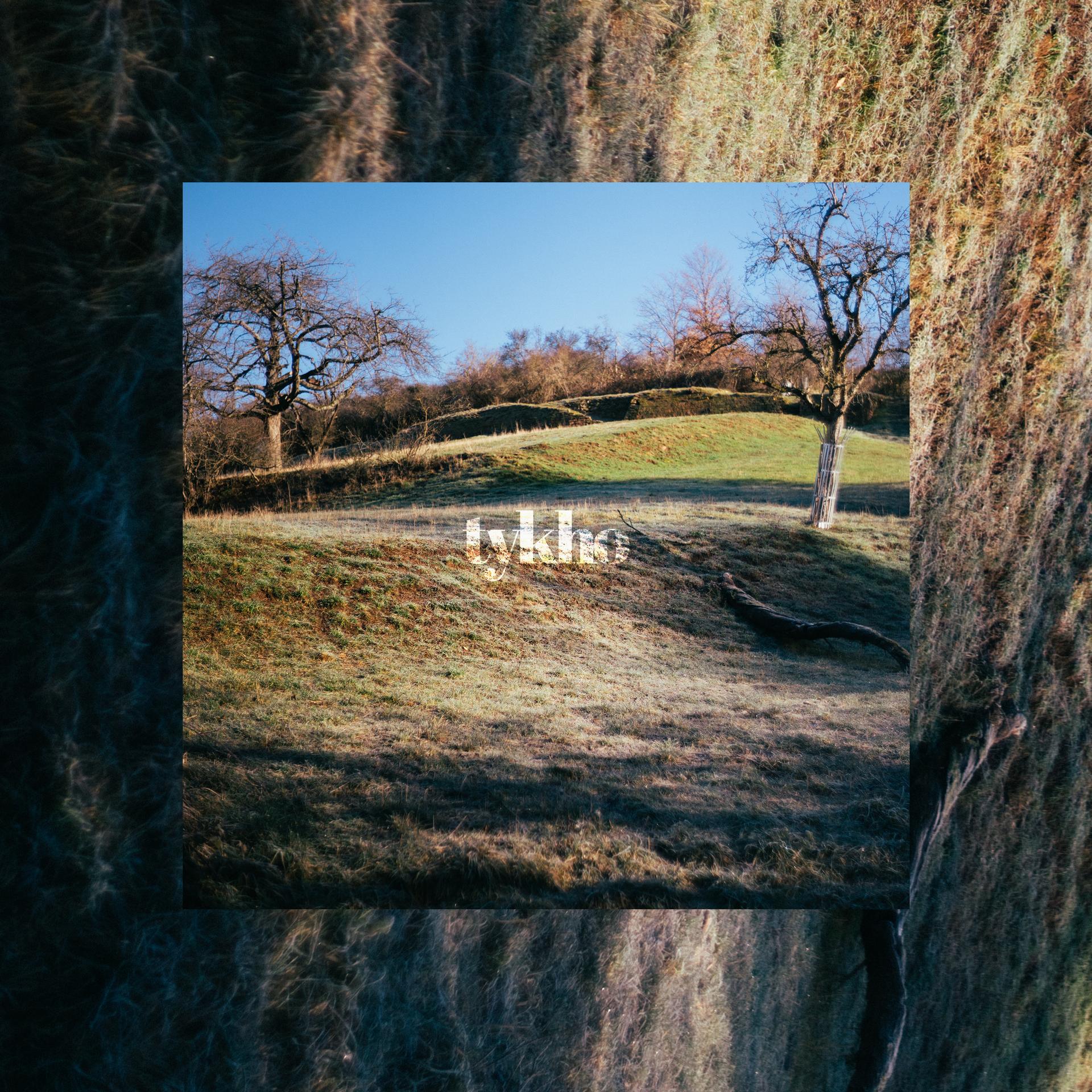 Tykho - Cedar