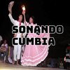 Los Gaiteros de San Jacinto - Campo Alegre