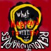Joseph Arthur - What Happened To The Revolutionaries