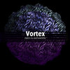 Anitamoon、Zwick - Vortex