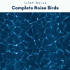 Inlet Noise - Wild for REM Nap