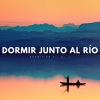 Música Para Dormir Inspirada En El Espacio、Dulces Sueños、Santiago Lorenzo Amor《Un Sueño Profundo Con Sonidos De Río》[MP3/LRC]