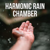 Relaxation Channel、Spa & Spa、Rainfall For Sleep - Rain Eden