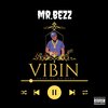 Mr. Bezz - Vibin (Explicit)