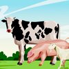 Voces Infantiles、La Vaca Lola La Vaca Lola、Canciones Para Niños - Las Vocales
