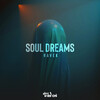 Ravek - Soul Dreams