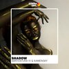 Abriviatura IV、Kamensky - Shadow