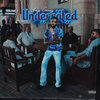 Shy Glizzy - Underrated (Explicit)