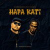 Kassim Mganga、AY Masta - Hapa Kati
