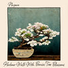 Naguro - Harbour Walk With Bonsai Tree Blossoms