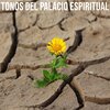 Relaxing Music - Calorias