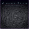 Migraine Headache Relief、Stress Relief Experience、Migraine Relief Therapy《EMDR Music Therapy》[MP3/LRC]