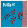 Shangly Joe - Singular Meet