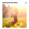 Sanfte Klänge - Der Trost der Musik