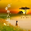 浅笑安然 - 深爱的人间