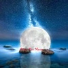 Speedy Audio - Rises The Moon