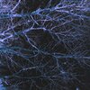 Timofey - Rage (Explicit)