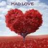 Speedy Audio《Mad Love》[MP3/LRC]