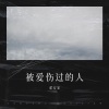 翟安家 - 我是一个被爱伤过的人