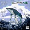 Shosho - Take Me Back