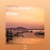 Birds Above Water、ADHD Focus - Space of the Beauty Love