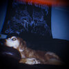 Wavy Jone$ - Chill Wit My Dog